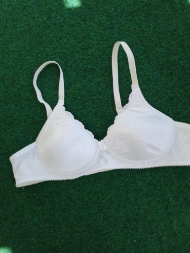 Naturana funktions b - funktions,